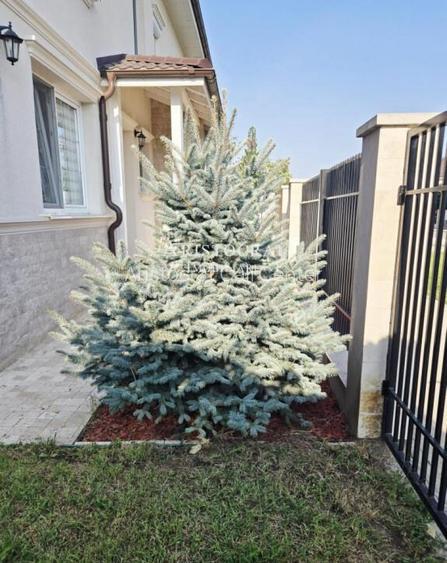 Inchiriere vila cartier cu acces securizat