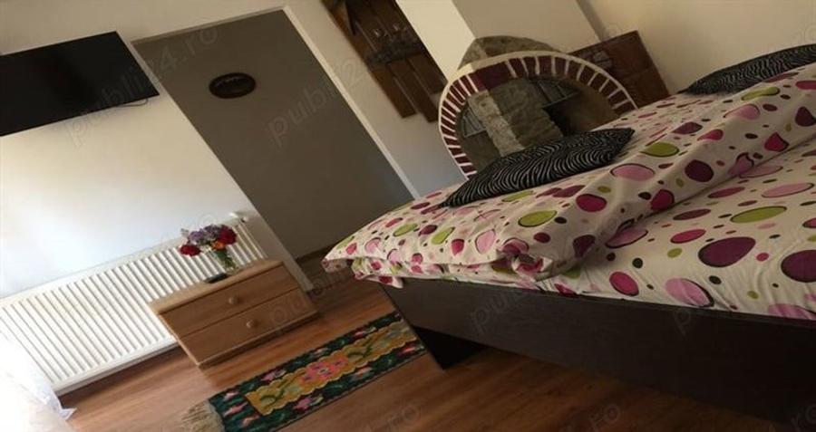 Vila P+2 cu 8 camere ?i 4600 mp teren Ideala pentru pensiune, casa multifamiliala sau investi?ie - 1