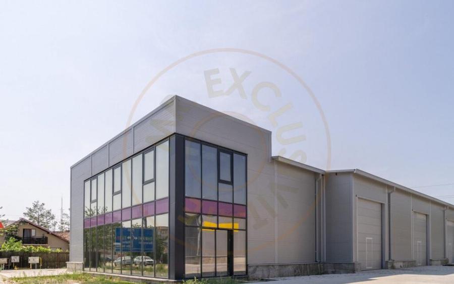 Inchiriere hala noua zona Bascov la DN 7C - 12