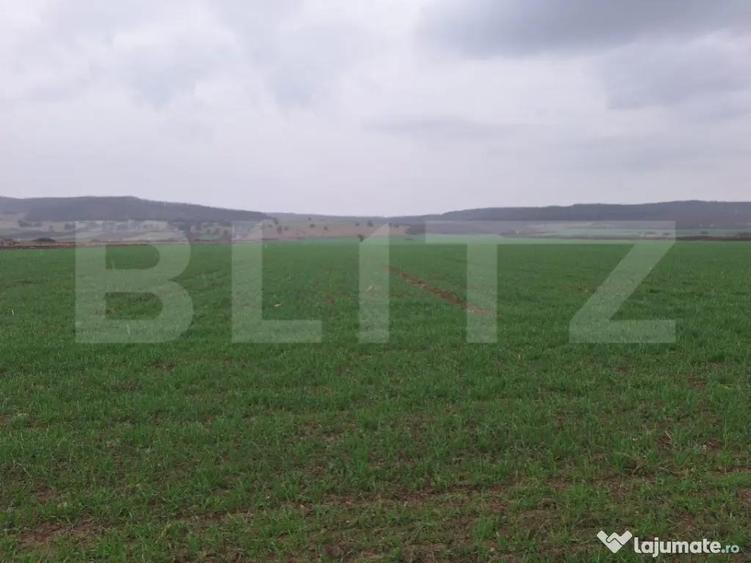 Teren extravila CUGIR 10.000 mp - 1