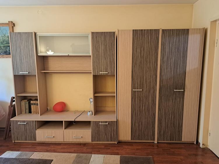 Garsonieră de închiriat – B-dul Take Ionescu – Etaj 1/10, mobilată și utilată - 4