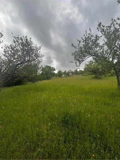 Vand teren intravilan - 1