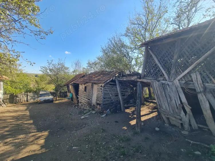 Casa si pamant agricol de vanzare - 3