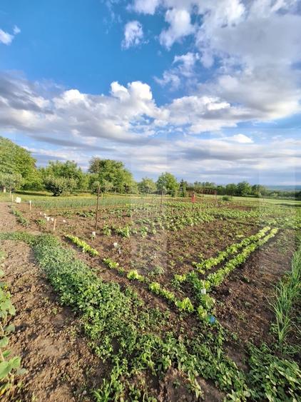 Casă individuală cu 2 camere cu Teren 7637 Mp în Călinești (Bucecea)