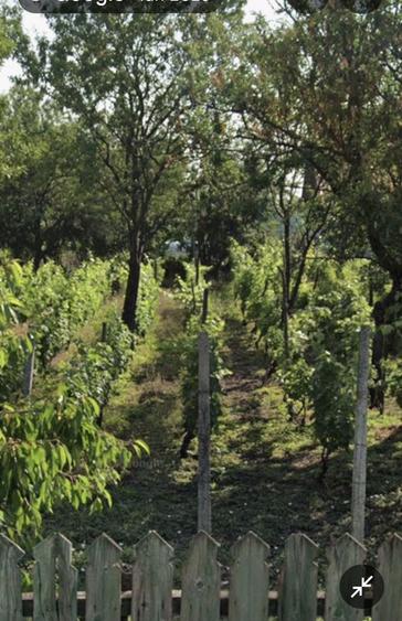 Casă cu 3 camere în Săhăteni