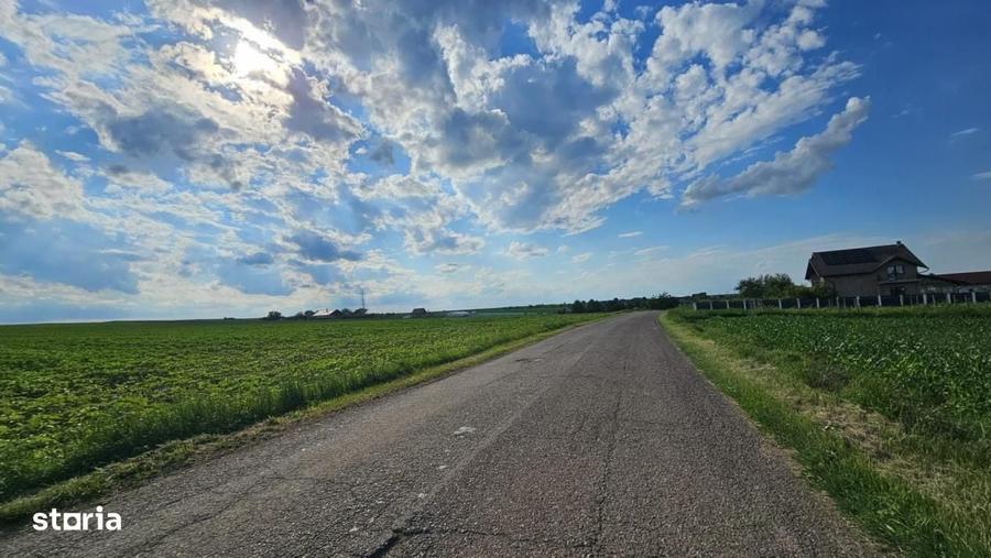 Teren intravilan | PUZ aprobat | 14900 mp | intre Vorovesti si Voinest - 1