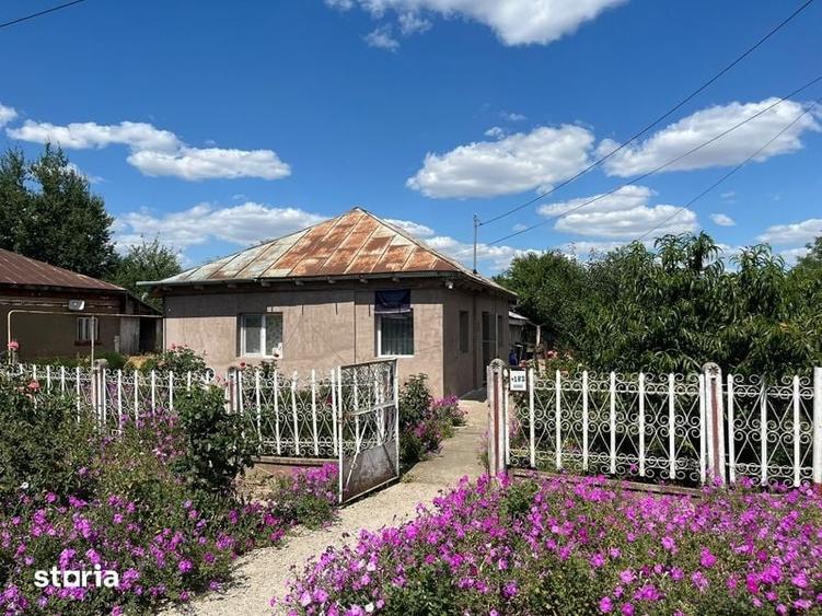 Casă cu 4 camere cu Teren 1585 Mp în Ghergheasa