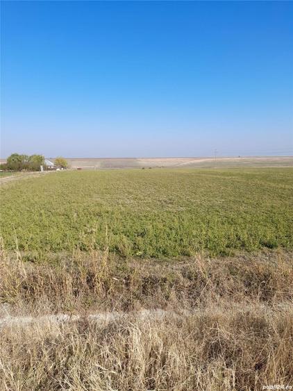 Teren de 15000 mp, în Sud