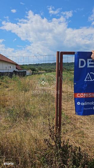 Teren de 3863 mp, în Turcinești