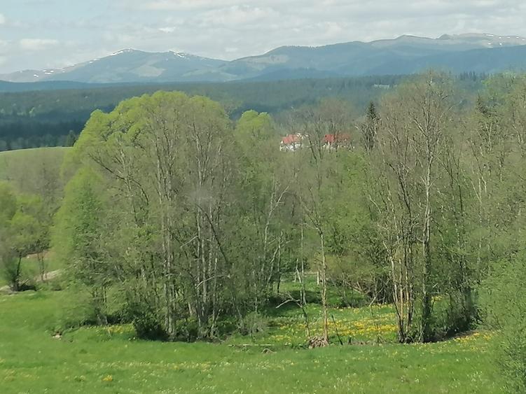 Teren de 45000 mp, în Ortoaia