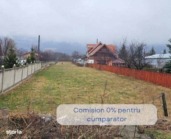 Spațiu comercial, în Coman