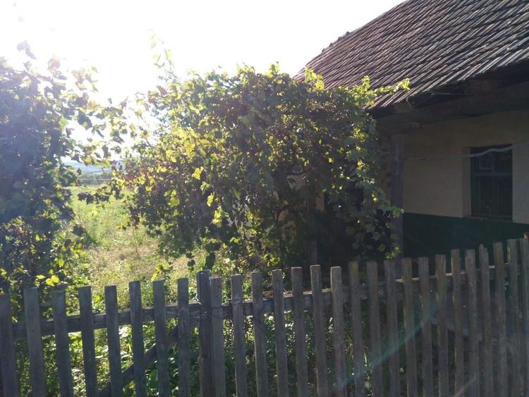 Spațiu comercial, în Crasna