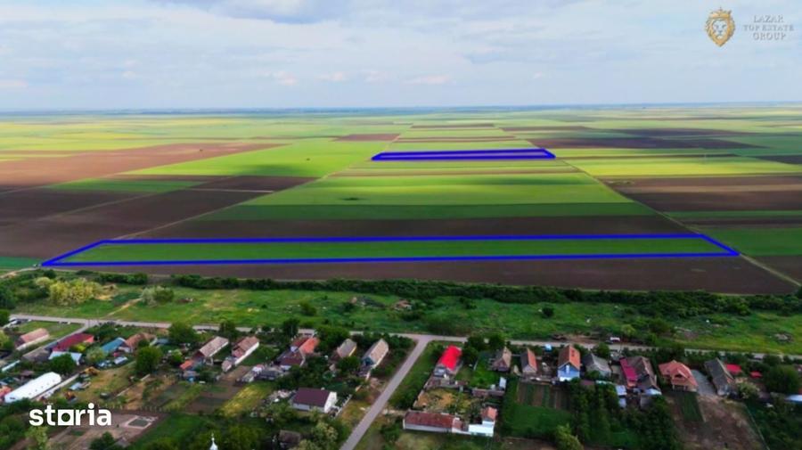 Teren de 68900 mp, în Secusigiu