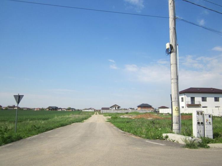 Domnesti-Simfoniei. - 2