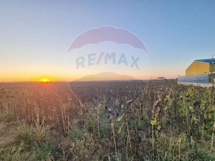 Teren de vanzare la soseaua principala 1ha Mangalia-Limanu Constanta - 1