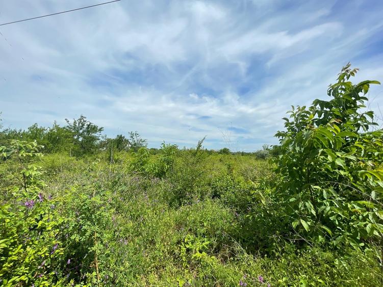 SNAGOV PLAZA - TEREN IDEAL DEZVOLTARE IMOBILIARA! - 8