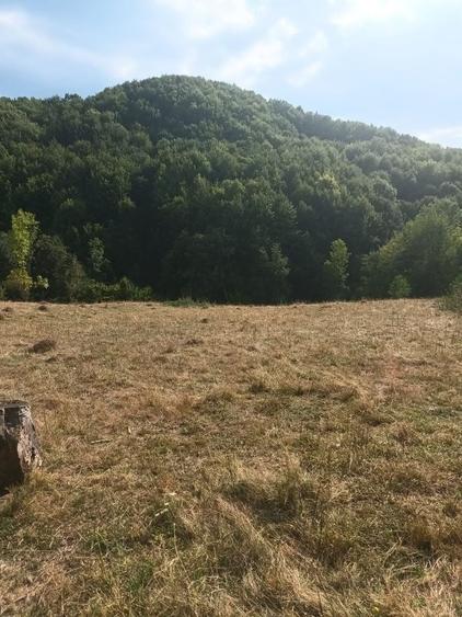 Teren de vanzare Coebeni-Turburea-Arges - 2