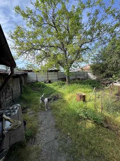 Casa de vazare Rosiori de Vede - 2