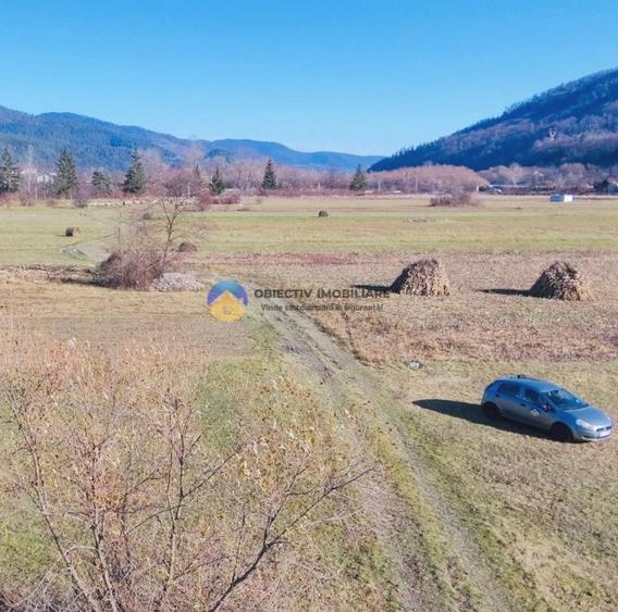 TEREN intravilan  4488 mp - PANGĂRAȚI - 6