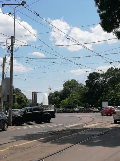 Parcul Carol activitati comerciale horeca servicii showroom - 10