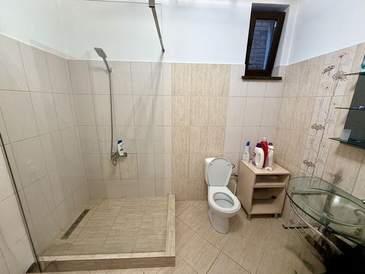 Inchiriez casa ultracentral - Parcul Romanescu - Str. Corneliu Coposu - 5