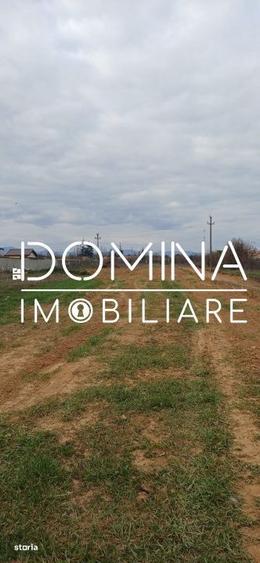 Vanzare teren intravilan 421 mp, Ale. Sf. Dumitru zona rezidential - 4