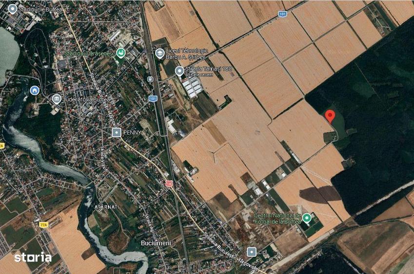 Vand teren construibil 1000 mp langa padure Buftea - 5