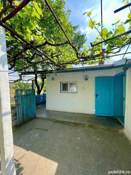 Casa de vanzare cu acces la Bra?ul Borcea, Bordu?ani - 3