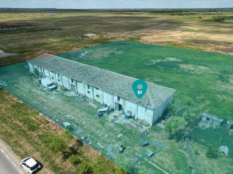 Hală industrială cu teren generos în Zărand, Arad - 1