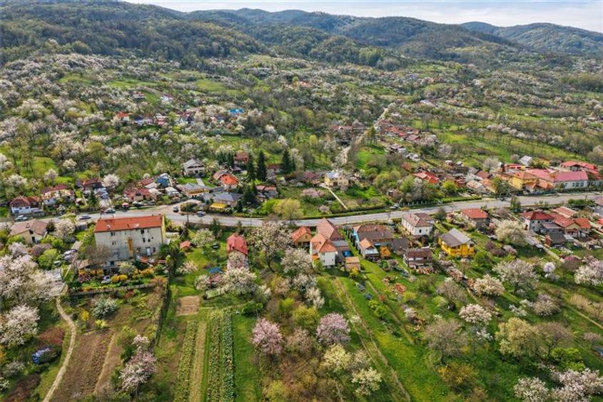 FILM! Casa  pe domeniu de 3.117 mp, Viperesti  Buzau - 1