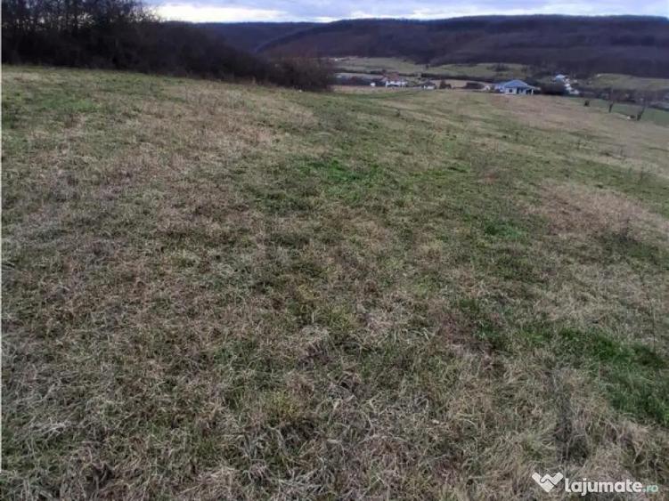 RECO Teren intravilan 5487 mp cu dublu front stradal-zona Be - 2