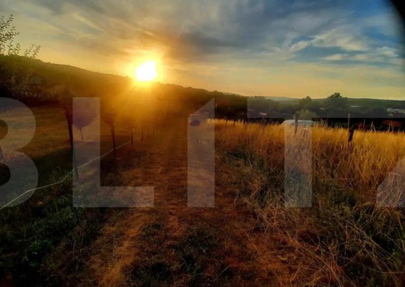 Teren intravilan 1129 mp, PUZ in lucru, in Borhanci - 4