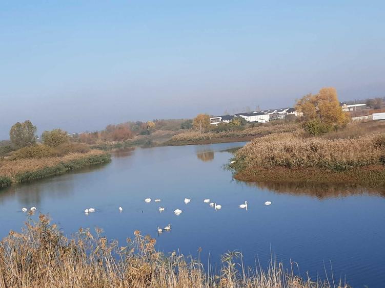 Ocazie unica! Teren pe marginea lacului - iesire directa la lac, Berceni (comuna) - 1