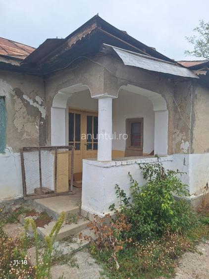 Vand casa teren 3000mp satul Gresia, Rosiorii de Vede, Teleorman Vand casa teren 3000mp satul Gresia, Rosiorii de Vede, Teleorman