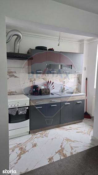 Apartament cu 2 camere de vanzare in Gura Campului - 4
