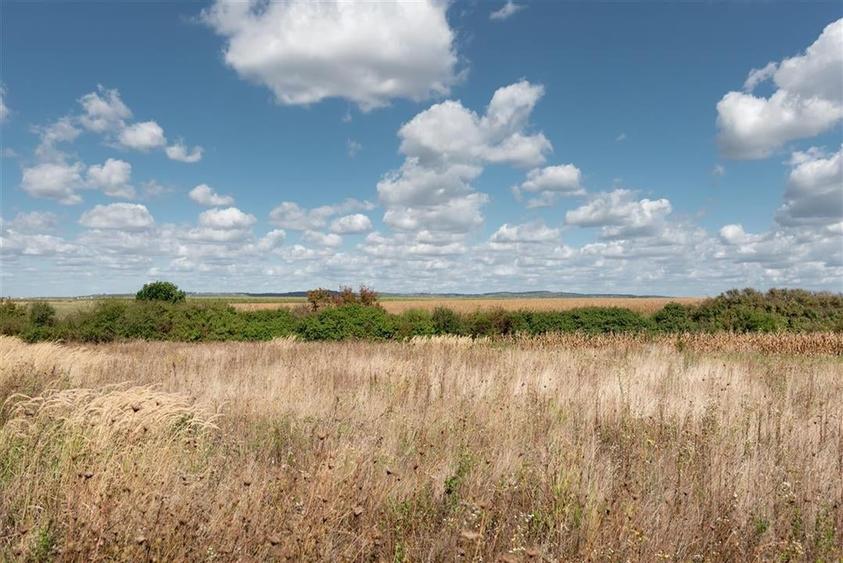 Teren intravilan in Rontau - 2