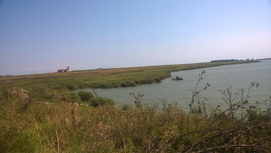 23August - Teren intravilan  6000mp 2fronturi de 46m  aproape de lac si mare - 8