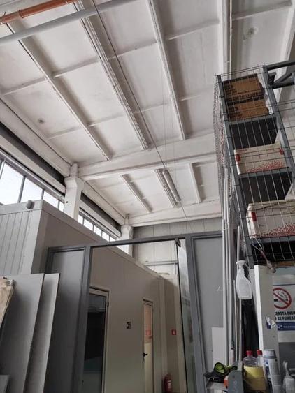 Hala 300 mp  incinta Faur - 4