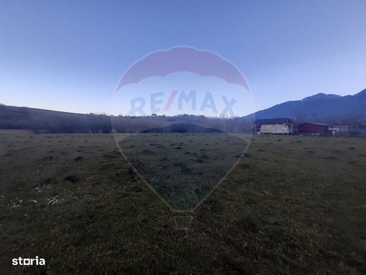 Teren 1,404mp Zarnesti / Strada FN - 7