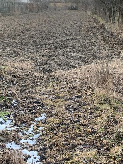 Teren Maracineni Argeselu - 1