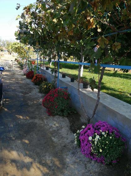 Casa la tara cu gradina - 10