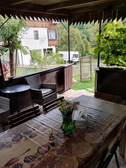 vand cabana la Rimetea,Alba - 4