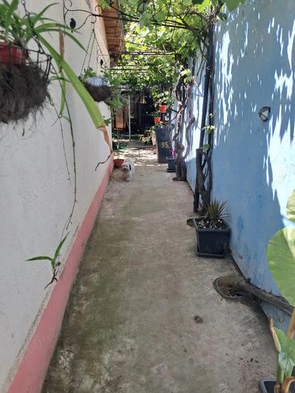 Casa de vanzare Constanta cartier Medeea - 4