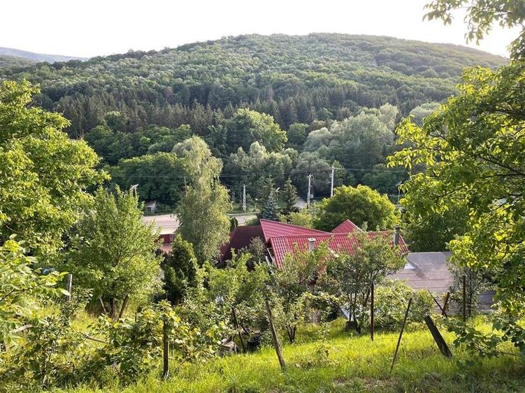 Vila deosebita, 2 corpuri P+M si P+1E, Margineni-Bacau - 26