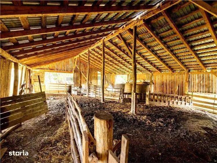 Vindem Casa cu 4 camere in Husasau de Tinca - 3