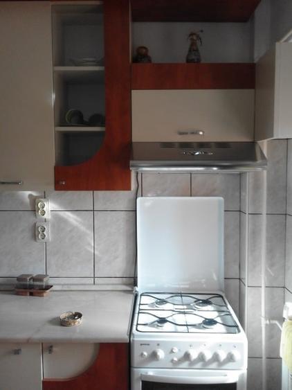 Apartament 2 Camere Ultracentral - 4