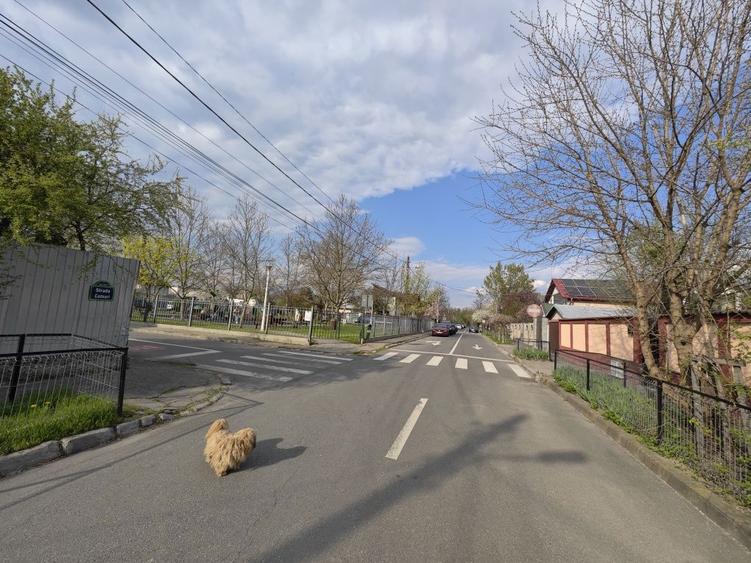 Teren 445 mp Sector 1 Straulesti | 12,5m deschidere |Toate utilitatile - 7