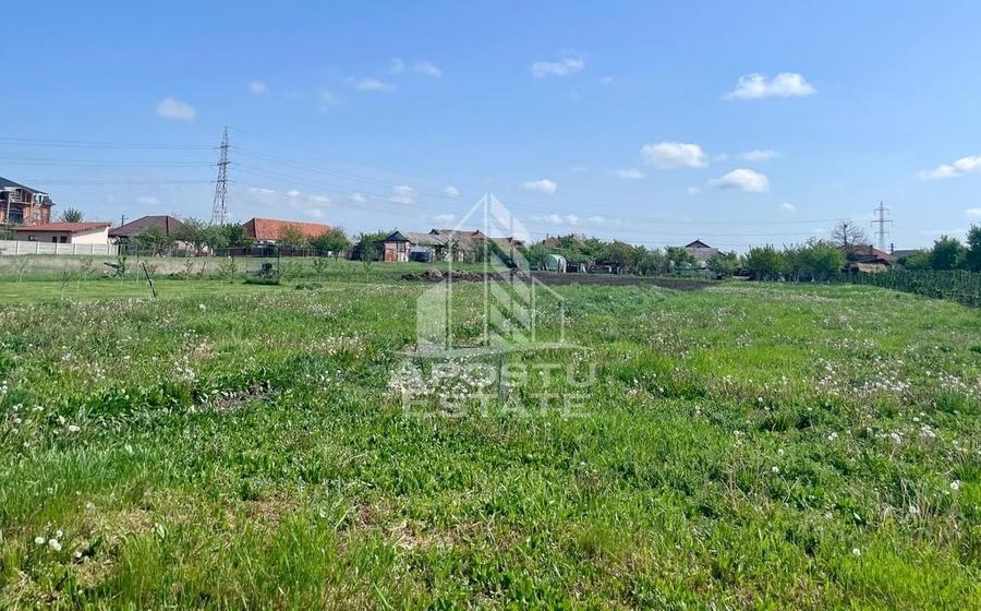 Casa individuala cu curte individuala si gradina - Zona Gai - 17