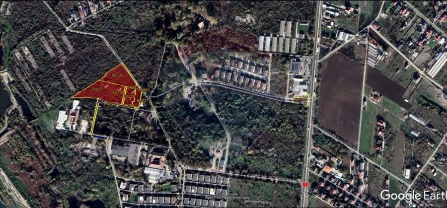 Teren 19,470 mp Comuna 1 Decembrie Ilfov - 1