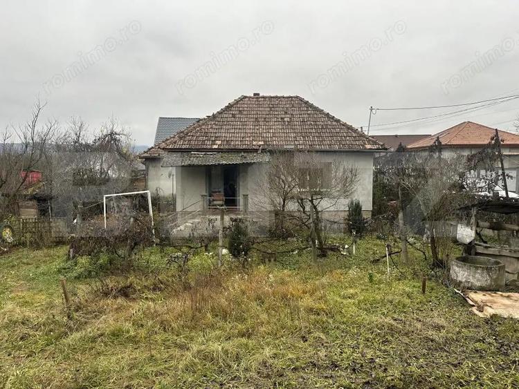 Teren 3000 mp + 2 case de vanzare-Ca?eiu - 9